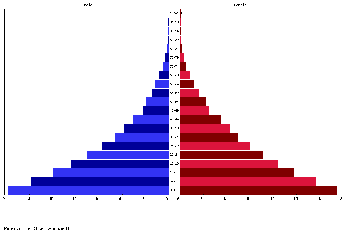 Gambia Age structure and Population pyramid