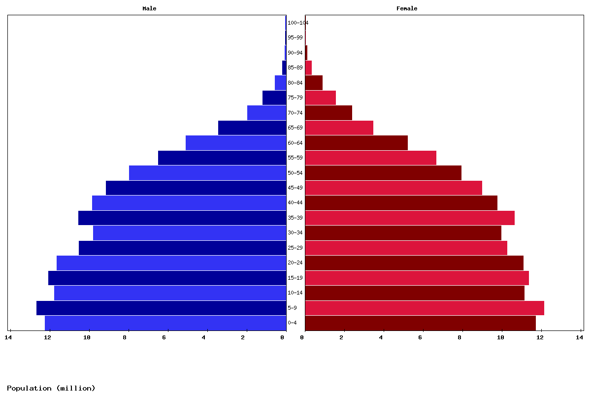 Indonesia Age structure and Population pyramid