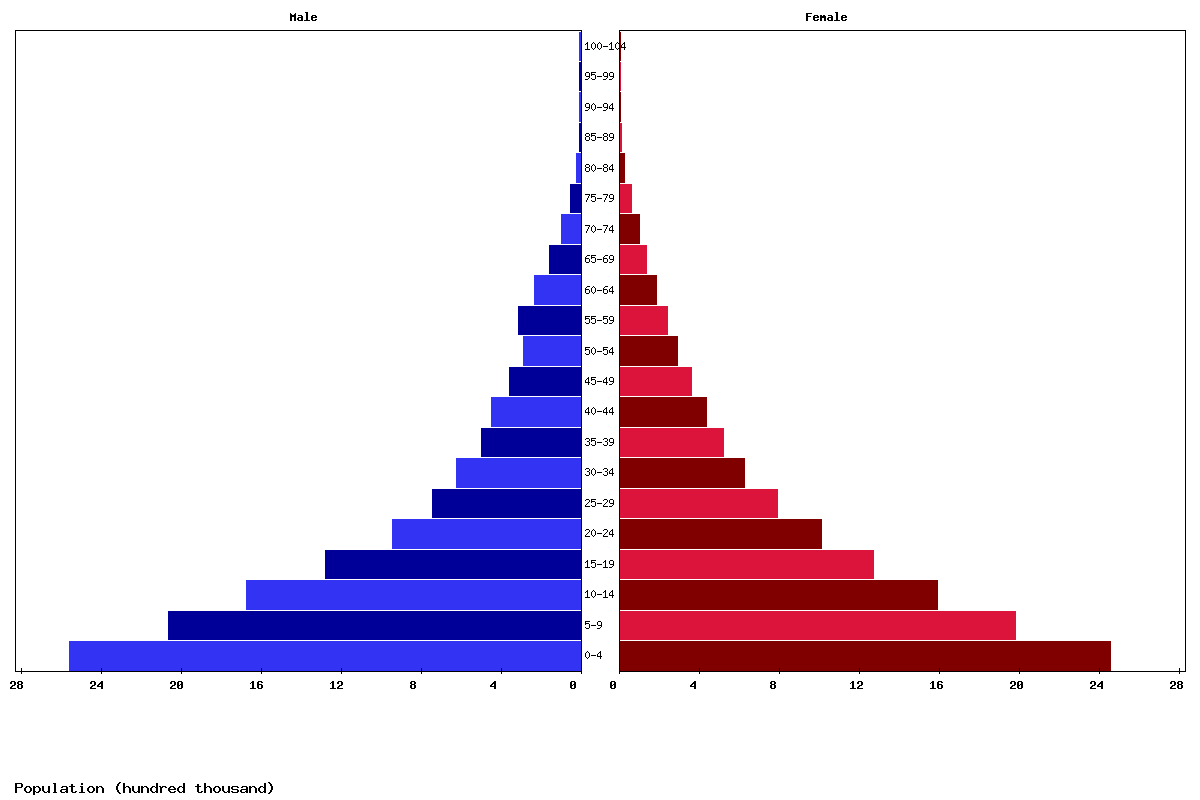 Niger Age structure and Population pyramid