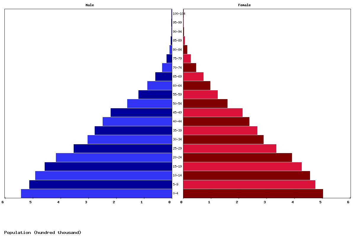 Papua New Guinea Age structure and Population pyramid