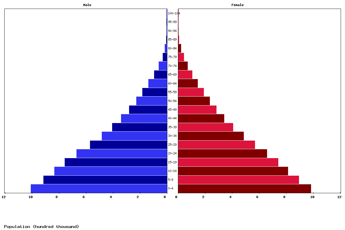 Benin Age structure and Population pyramid