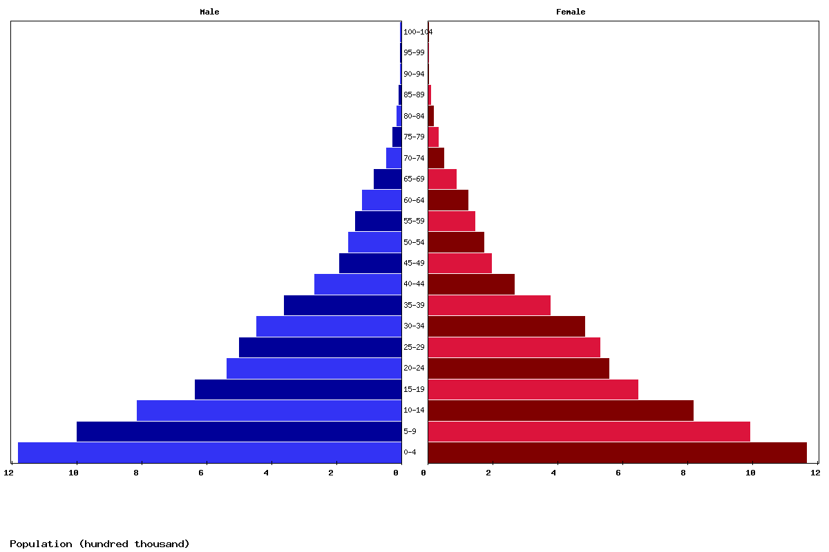 Burundi Age structure and Population pyramid