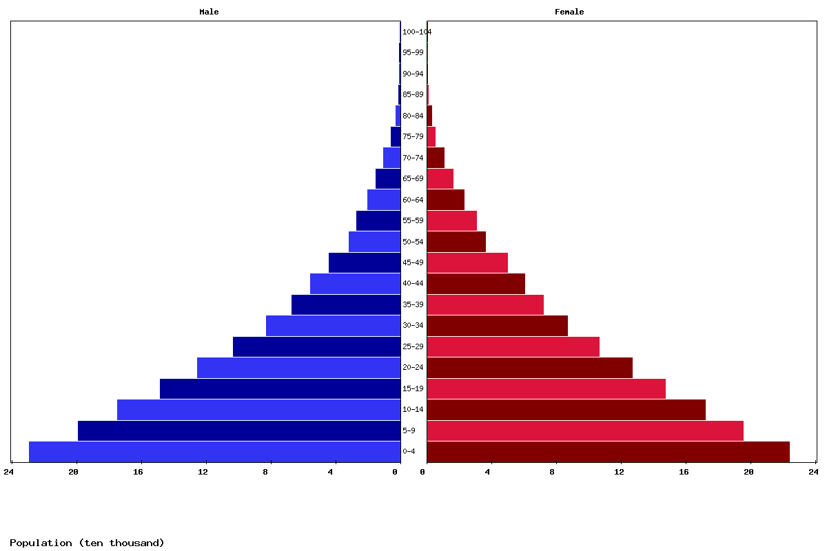 Gambia Age structure and Population pyramid