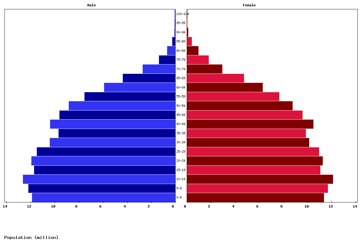 Indonesia Age structure and Population pyramid