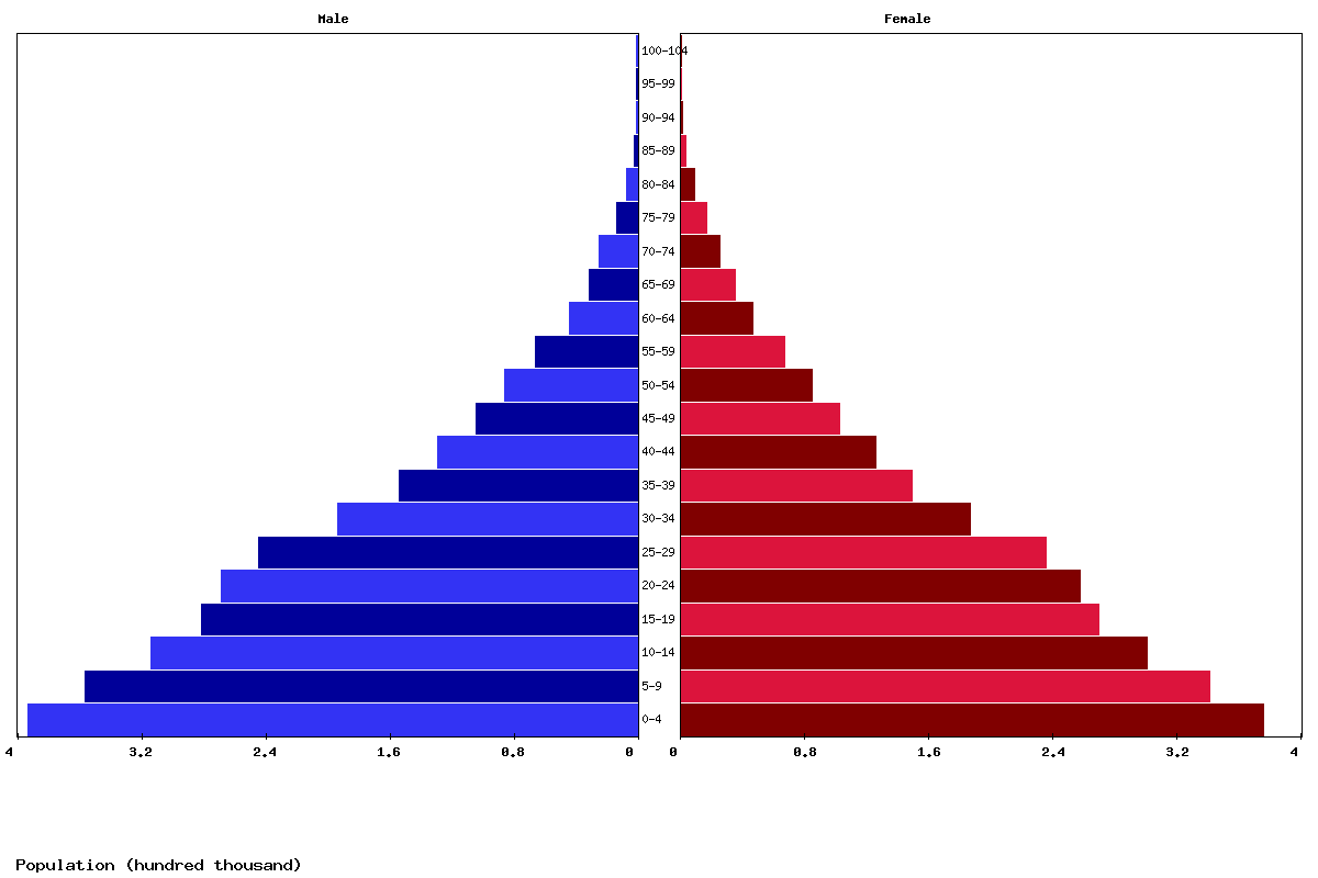Palestine Age structure and Population pyramid