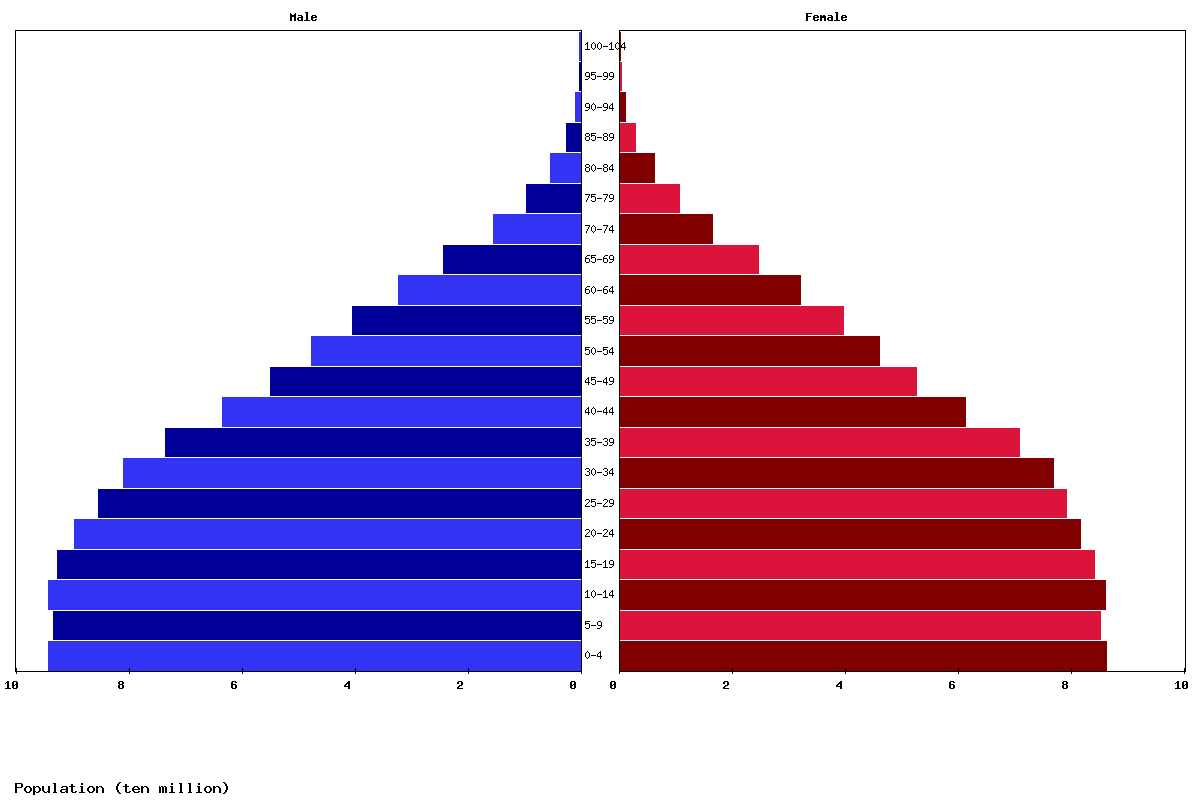 South Asia Age structure and Population pyramid
