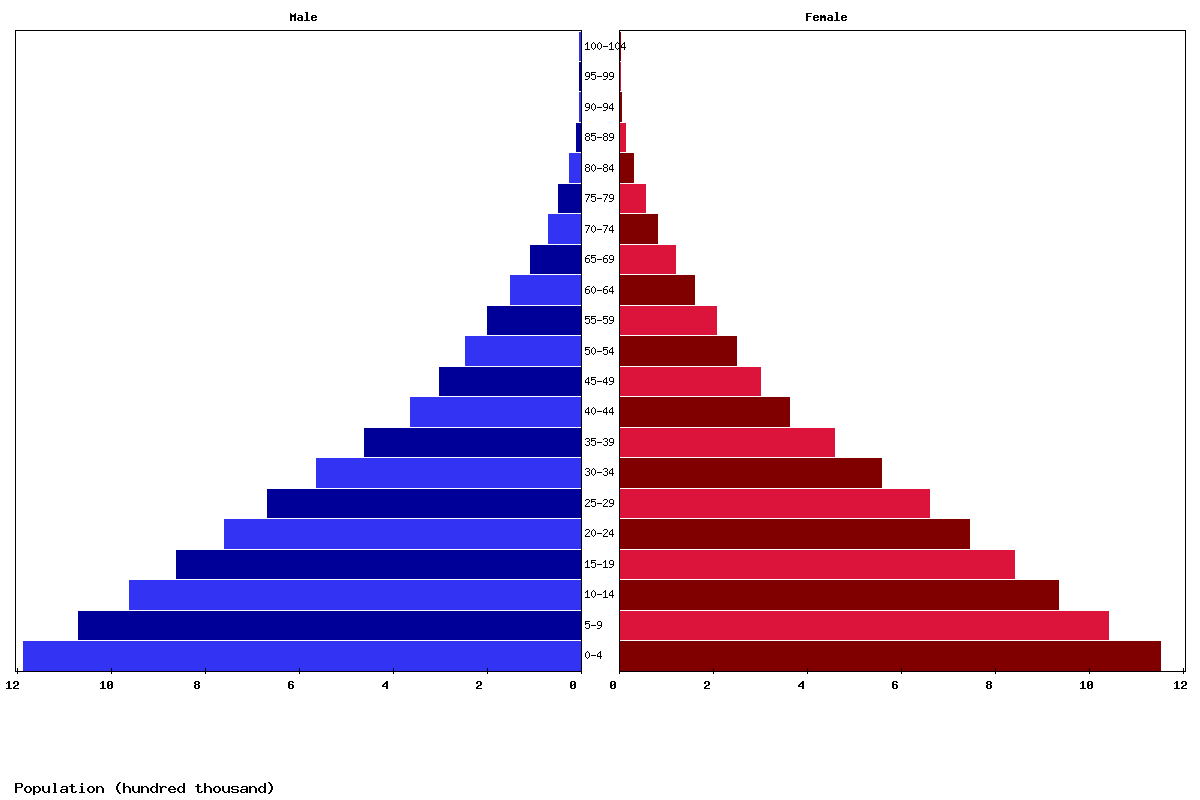 South Sudan Age structure and Population pyramid